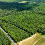 Property photo for land for sale in Mecklenburg County Virginia