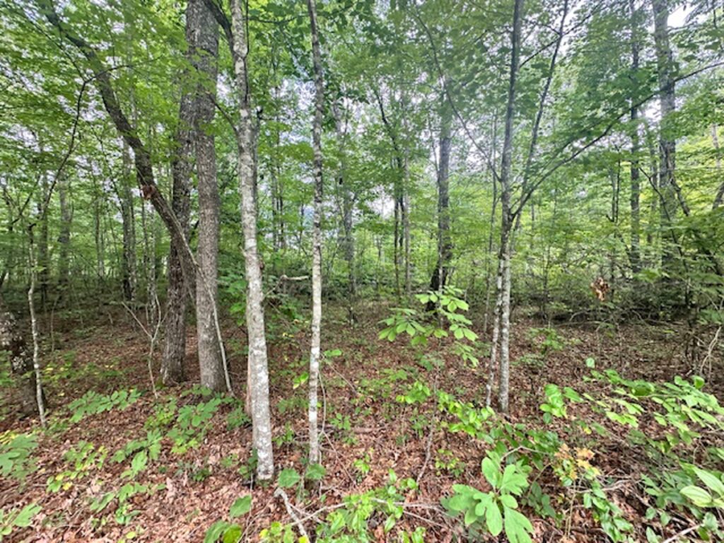 Property photo for land for sale in Cumberland County Tennessee