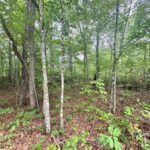 Property photo for land for sale in Cumberland County Tennessee