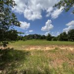 Property photo for land for sale in Pike County Alabama