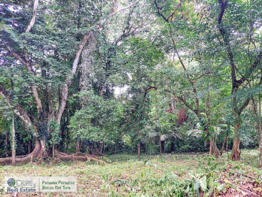 Property photo for land for sale in County Panama