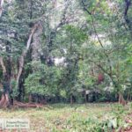 Property photo for land for sale in  County Panama