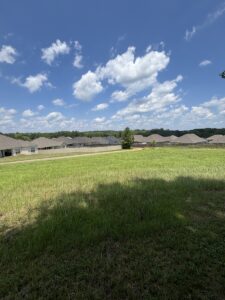 Property photo for land for sale in Pike County Alabama