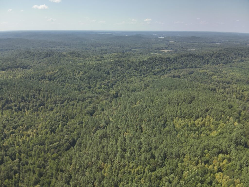 Property photo for land for sale in Wayne County Tennessee