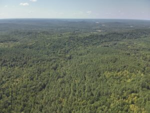 Property photo for land for sale in Wayne County Tennessee