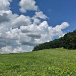 Property photo for land for sale in Greene County Tennessee