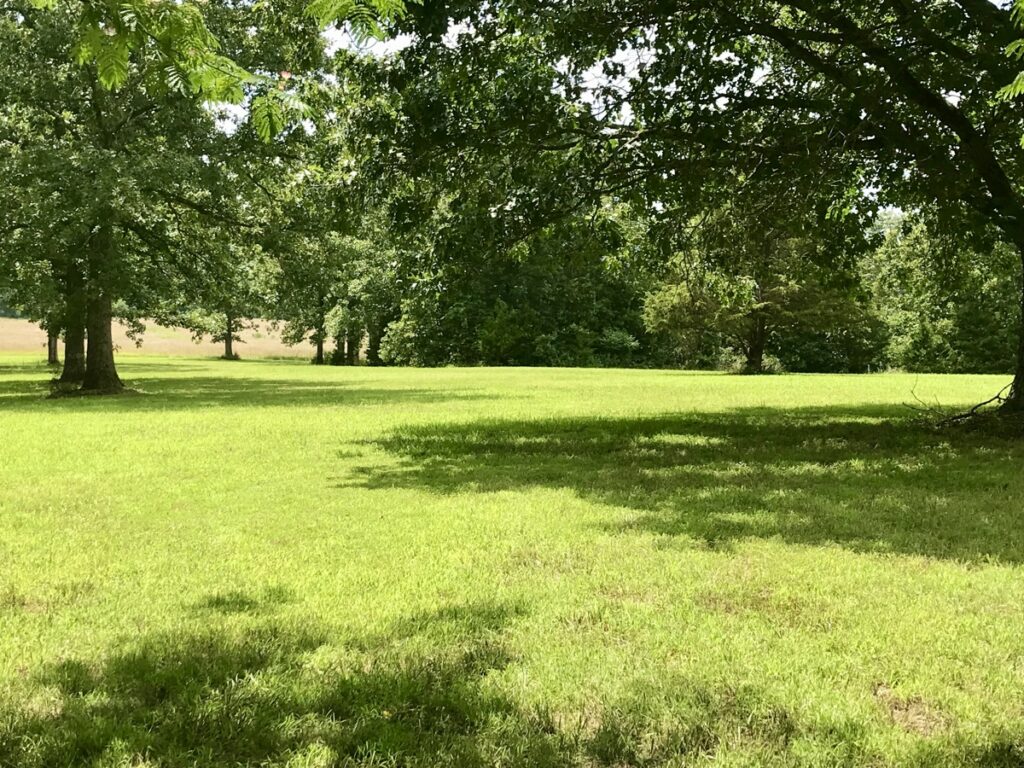 Property photo for land for sale in Phelps County Missouri