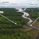 Property photo for land for sale in Pamlico County North Carolina