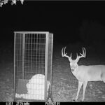 Property photo for land for sale in Schleicher County Texas