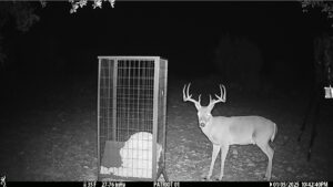 Property photo for land for sale in Schleicher County Texas