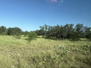Property photo for land for sale in Schleicher County Texas