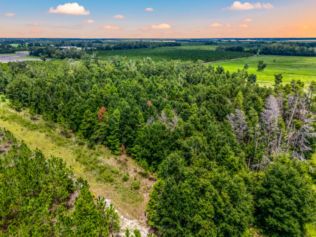 Property photo for land for sale in Suwannee County Florida