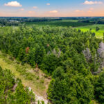 Property photo for land for sale in Suwannee County Florida