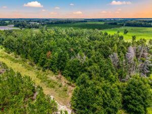 Property photo for land for sale in Suwannee County Florida