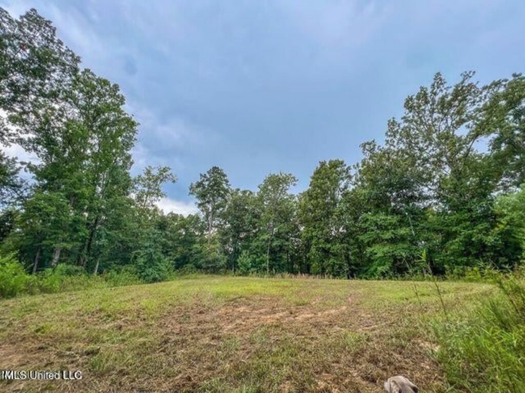 Property photo for land for sale in Hinds County Mississippi