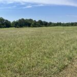 Property photo for land for sale in Delaware County Oklahoma