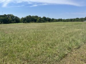 Property photo for land for sale in Delaware County Oklahoma