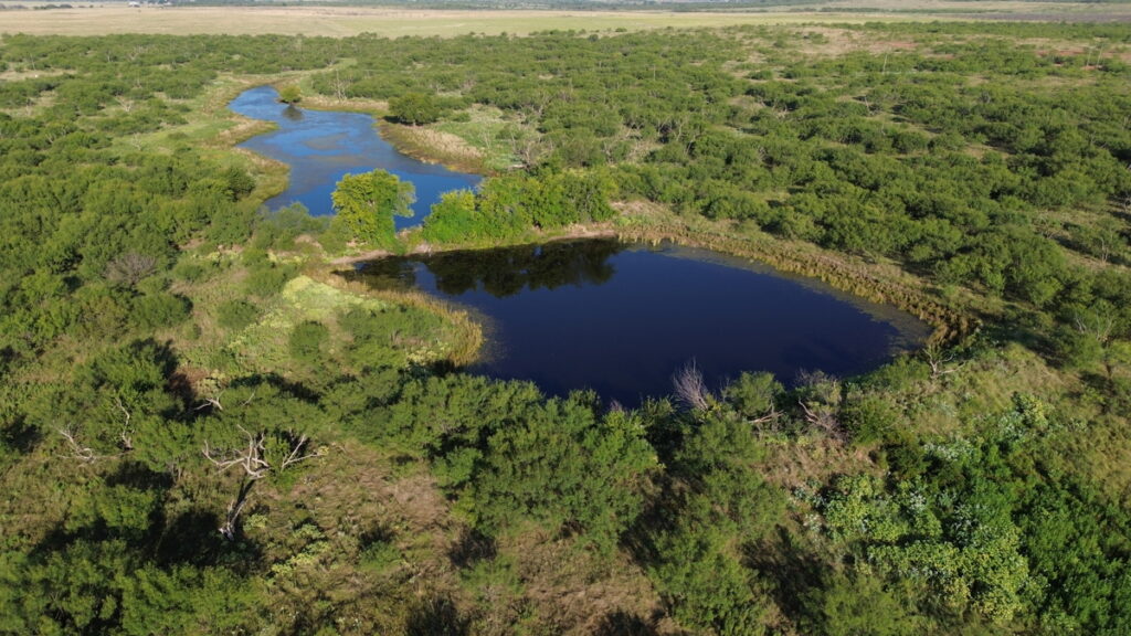 Property photo for land for sale in Clay County Texas