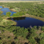 Property photo for land for sale in Clay County Texas