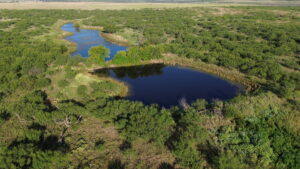 Property photo for land for sale in Clay County Texas