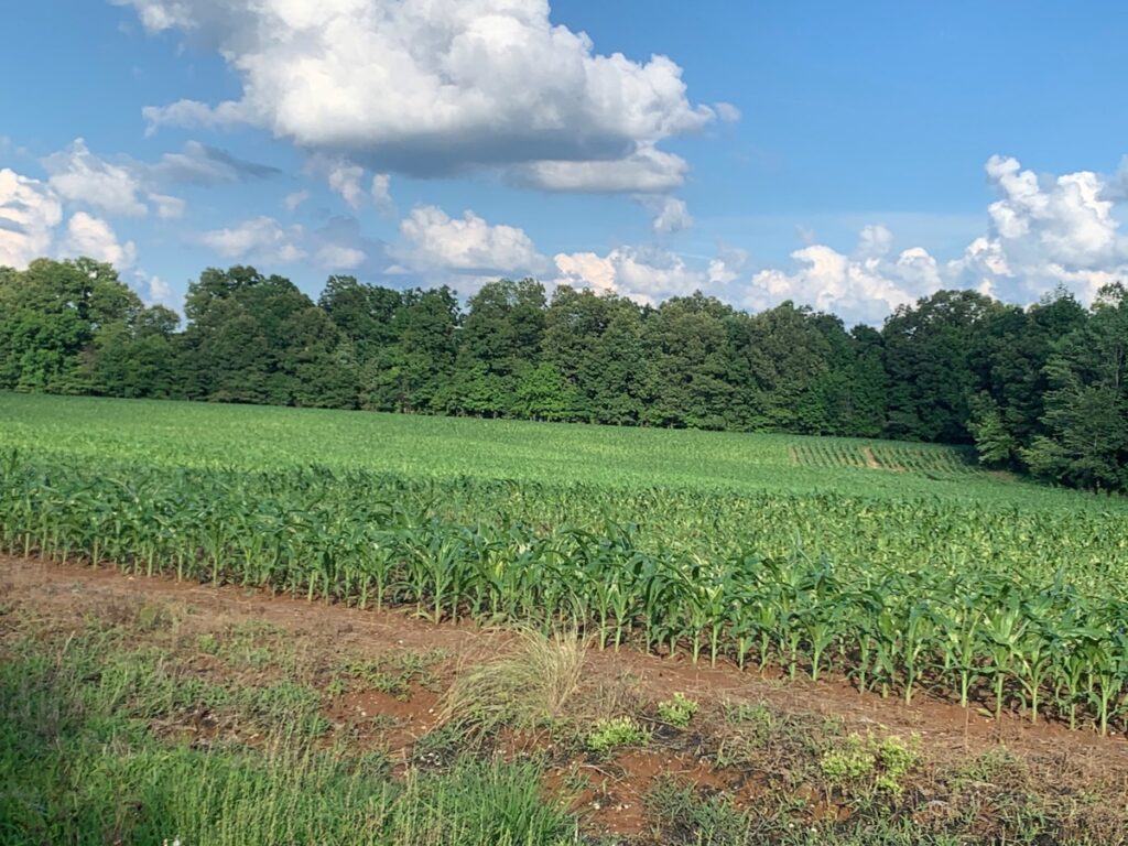 Property photo for land for sale in Madison County Tennessee