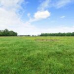 Property photo for land for sale in Red River County Texas