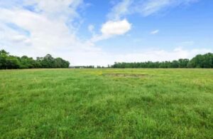 Property photo for land for sale in Red River County Texas