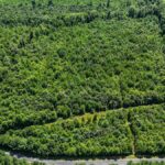 Property photo for land for sale in Mecklenburg County Virginia