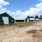 Property photo for land for sale in Jones County Mississippi