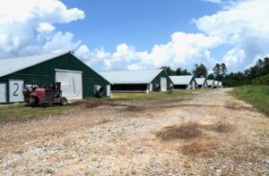 Property photo for land for sale in Jones County Mississippi
