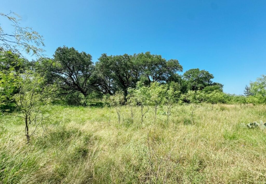 Property photo for land for sale in Brown County Texas