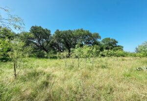Property photo for land for sale in Brown County Texas