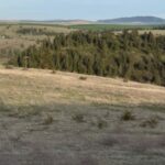 Property photo for land for sale in Whitman County Washington