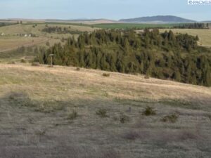 Property photo for land for sale in Whitman County Washington