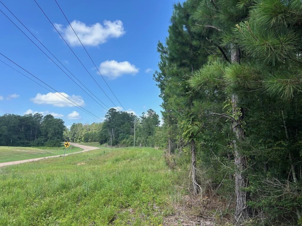 Property photo for land for sale in Pike County Mississippi