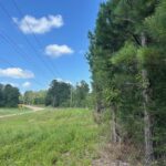 Property photo for land for sale in Pike County Mississippi