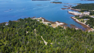 Property photo for land for sale in Washington County Maine