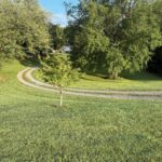Property photo for land for sale in Greene County Virginia