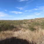 Property photo for land for sale in Cochise County Arizona