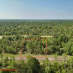 Property photo for land for sale in Washington County Florida