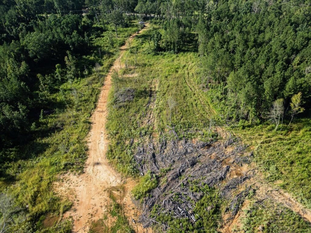 Property photo for land for sale in Amite County Mississippi