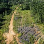 Property photo for land for sale in Amite County Mississippi