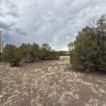 Property photo for land for sale in Navajo County Arizona