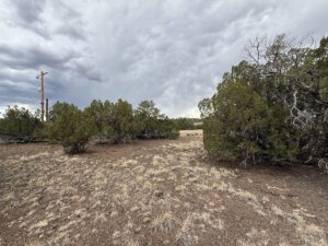 Property photo for land for sale in Navajo County Arizona