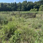 Property photo for land for sale in Delaware County Oklahoma