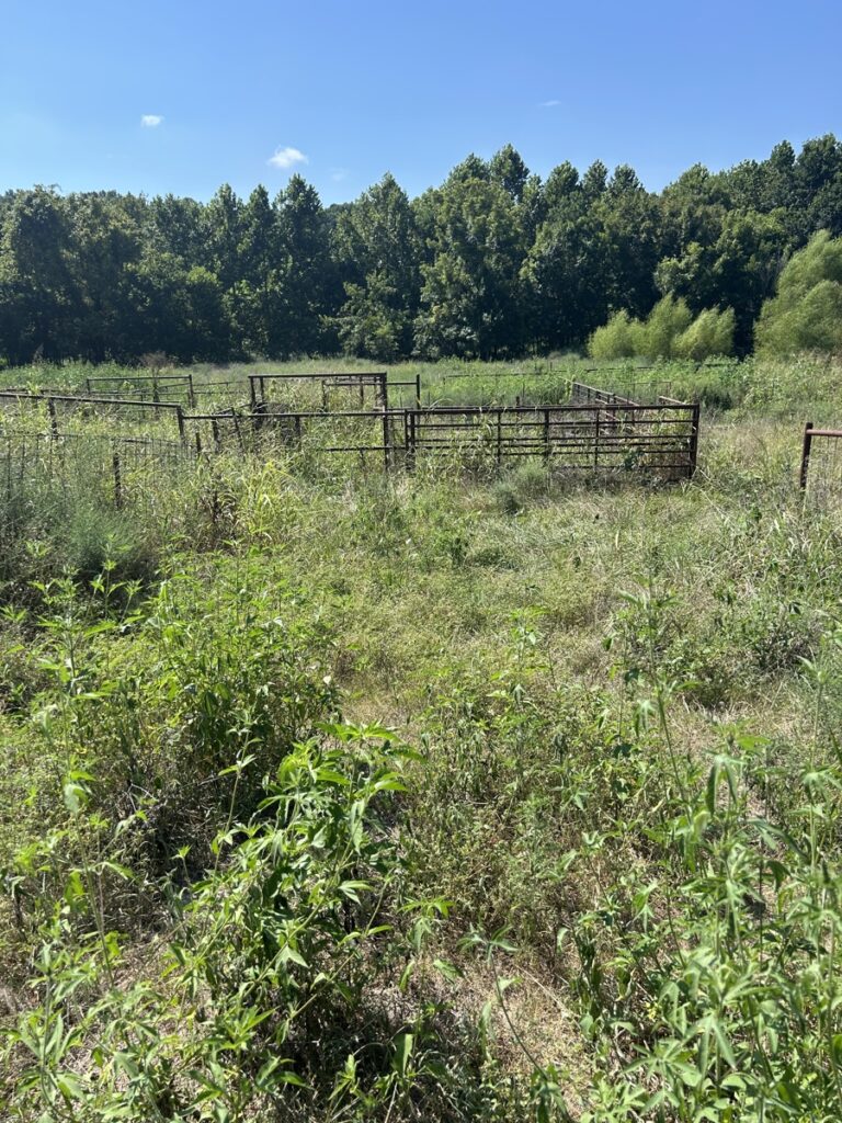 Property photo for land for sale in Delaware County Oklahoma