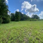 Property photo for land for sale in  County Louisiana