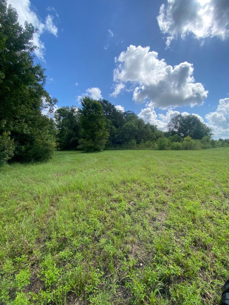 Property photo for land for sale in County Louisiana