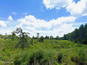 Property photo for land for sale in Pike County Mississippi