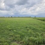 Property photo for land for sale in Bryan County Oklahoma